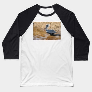 Wader bird of Calabash Baseball T-Shirt